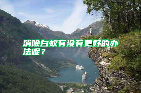 消除白蟻有沒有更好的辦法呢？