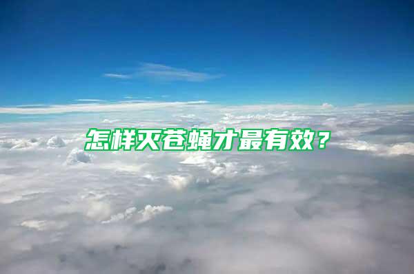 怎樣滅蒼蠅才最有效？