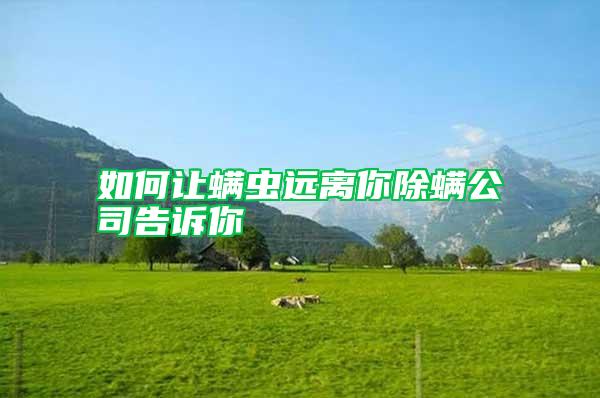 如何讓螨蟲遠(yuǎn)離你除螨公司告訴你