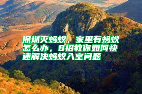 深圳滅螞蟻，家里有螞蟻怎么辦，8招教你如何快速解決螞蟻入室問題