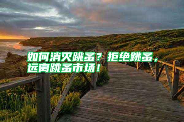 如何消滅跳蚤？拒絕跳蚤，遠離跳蚤市場！