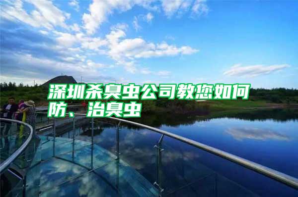 深圳殺臭蟲公司教您如何防、治臭蟲
