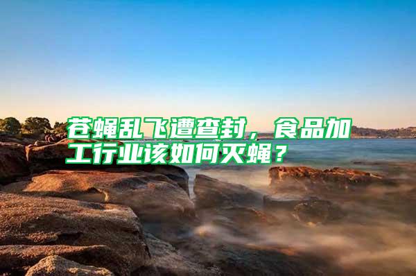 蒼蠅亂飛遭查封，食品加工行業該如何滅蠅？