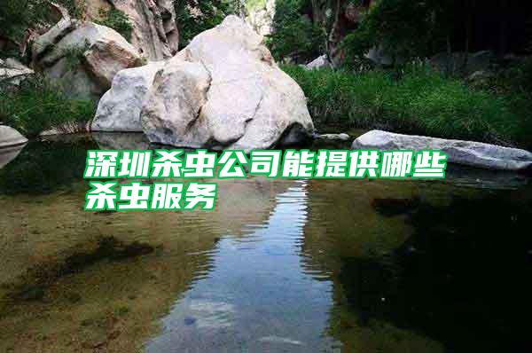 深圳殺蟲公司能提供哪些殺蟲服務
