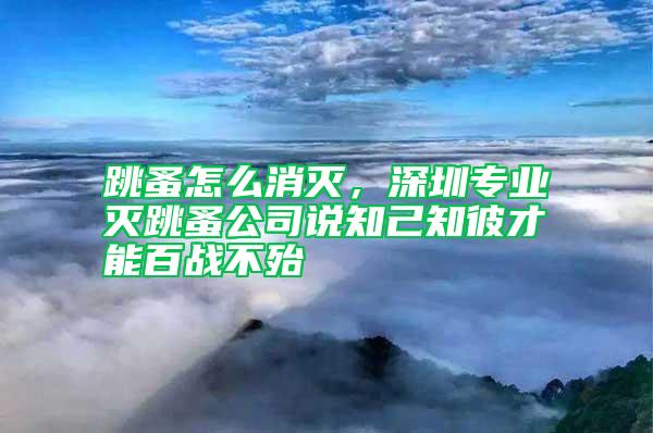 跳蚤怎么消滅，深圳專業(yè)滅跳蚤公司說知己知彼才能百戰(zhàn)不殆