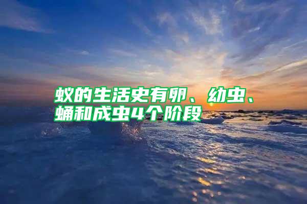 蟻的生活史有卵、幼蟲、蛹和成蟲4個(gè)階段