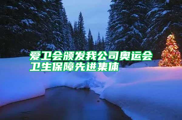 愛(ài)衛(wèi)會(huì)頒發(fā)我公司奧運(yùn)會(huì)衛(wèi)生保障先進(jìn)集體