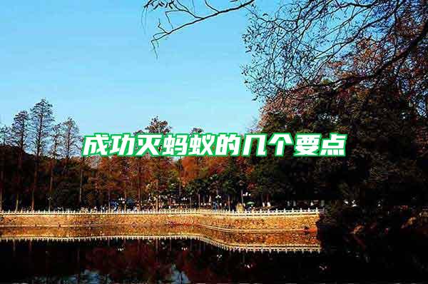 成功滅螞蟻的幾個要點(diǎn)
