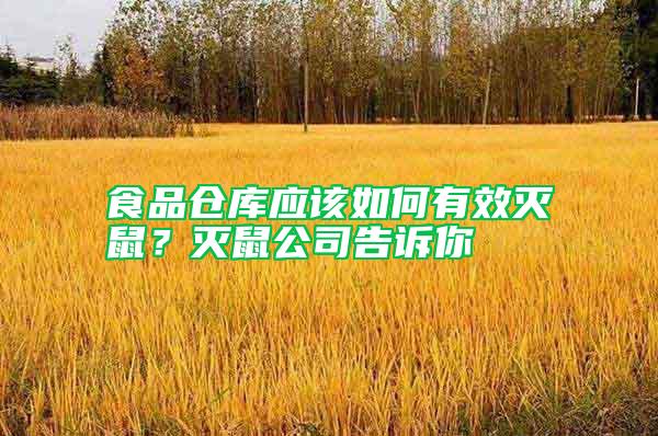 食品倉庫應(yīng)該如何有效滅鼠？滅鼠公司告訴你