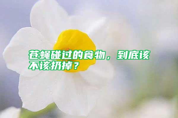 蒼蠅碰過的食物，到底該不該扔掉？