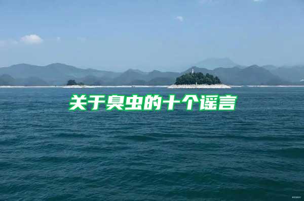 關于臭蟲的十個謠言
