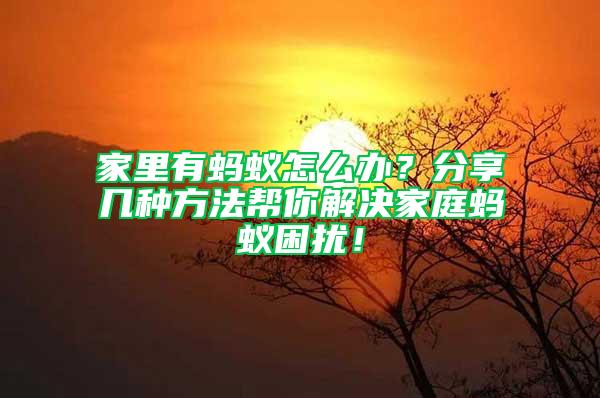 家里有螞蟻怎么辦？分享幾種方法幫你解決家庭螞蟻困擾！