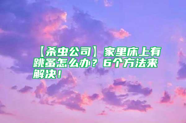 【殺蟲公司】家里床上有跳蚤怎么辦？6個(gè)方法來解決！