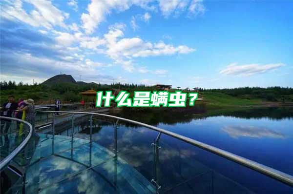什么是螨蟲？