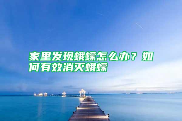 家里發(fā)現(xiàn)蛾蠓怎么辦？如何有效消滅蛾蠓