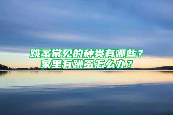 跳蚤常見(jiàn)的種類有哪些？家里有跳蚤怎么辦？