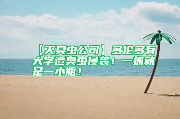 【滅臭蟲公司】多倫多有大學遭臭蟲侵襲！一抓就是一小瓶！