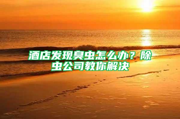酒店發現臭蟲怎么辦？除蟲公司教你解決