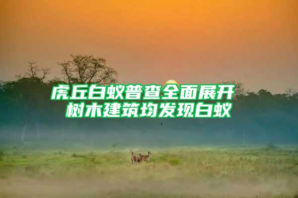 虎丘白蟻普查全面展開 樹木建筑均發現白蟻