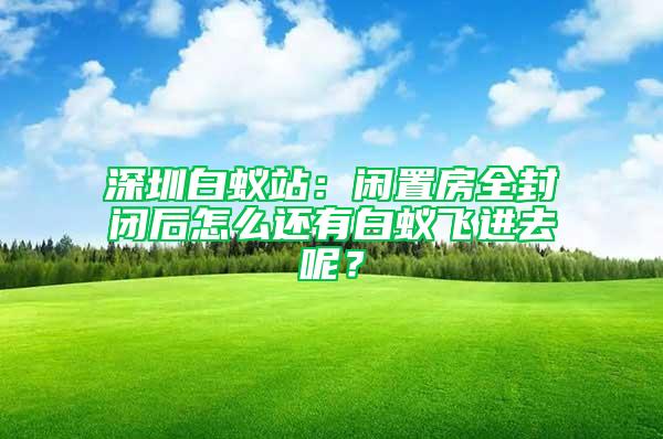 深圳白蟻站：閑置房全封閉后怎么還有白蟻飛進去呢？