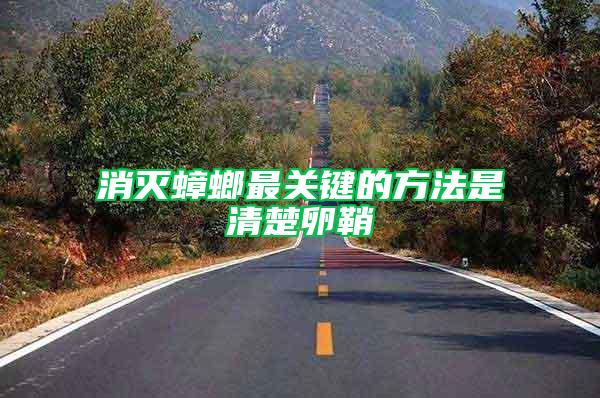 消滅蟑螂最關(guān)鍵的方法是清楚卵鞘