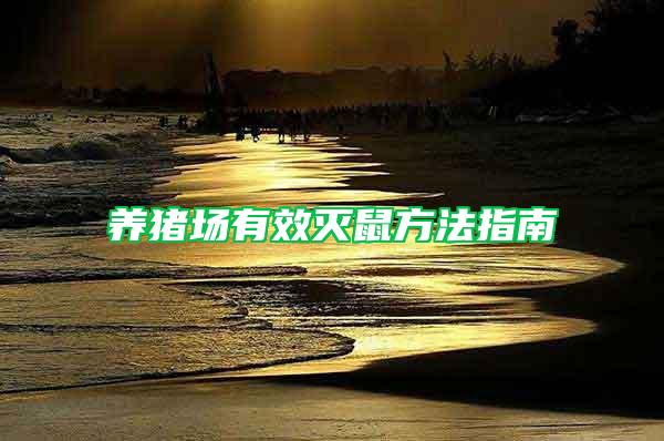 養豬場有效滅鼠方法指南