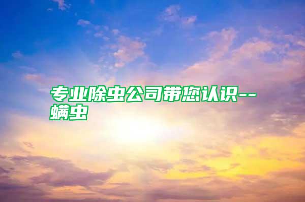 專業除蟲公司帶您認識--螨蟲