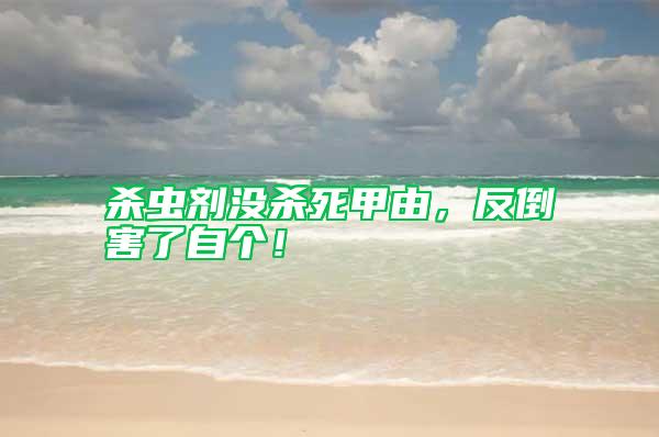 殺蟲劑沒殺死甲由，反倒害了自個！