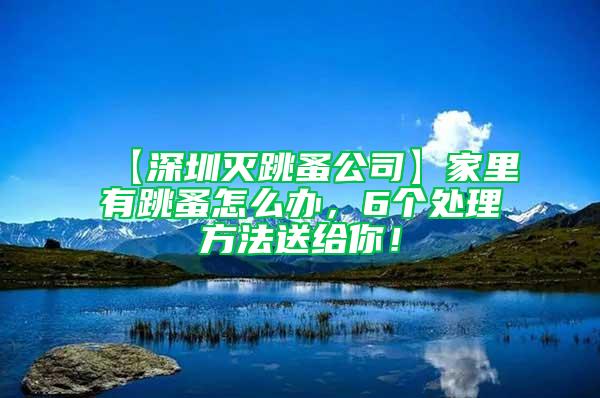 【深圳滅跳蚤公司】家里有跳蚤怎么辦，6個處理方法送給你！