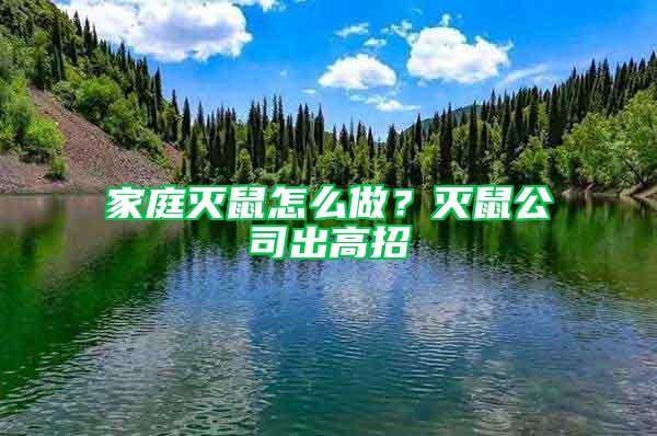 家庭滅鼠怎么做？滅鼠公司出高招