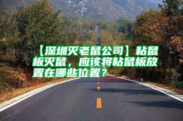 【深圳滅老鼠公司】粘鼠板滅鼠，應該將粘鼠板放置在哪些位置？