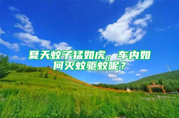 夏天蚊子猛如虎，車內如何滅蚊驅蚊呢？