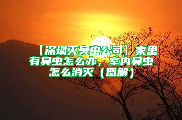 【深圳滅臭蟲公司】家里有臭蟲怎么辦，室內臭蟲怎么消滅（圖解）