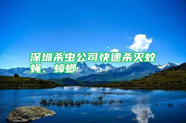 深圳殺蟲公司快速殺滅蚊蠅、蟑螂