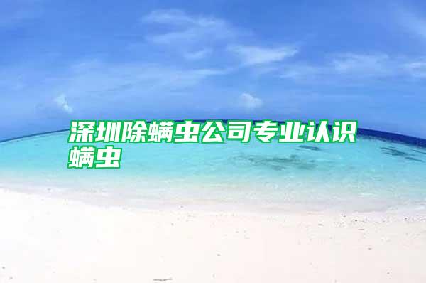 深圳除螨蟲公司專業認識螨蟲
