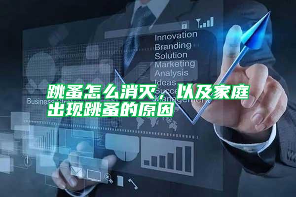 跳蚤怎么消滅，以及家庭出現跳蚤的原因