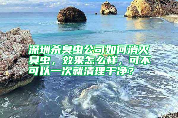深圳殺臭蟲公司如何消滅臭蟲，效果怎么樣，可不可以一次就清理干凈？