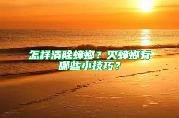 怎樣清除蟑螂？滅蟑螂有哪些小技巧？