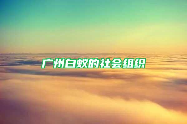 廣州白蟻的社會(huì)組織