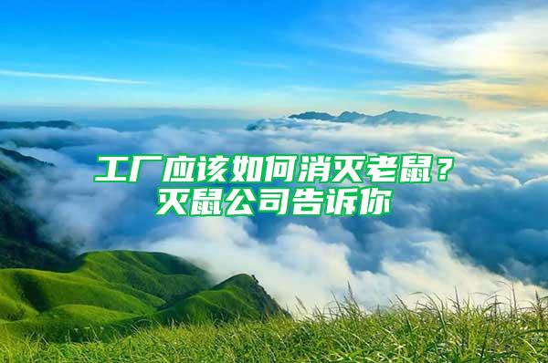 工廠應(yīng)該如何消滅老鼠？滅鼠公司告訴你