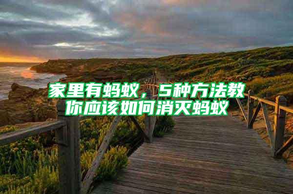 家里有螞蟻，5種方法教你應該如何消滅螞蟻