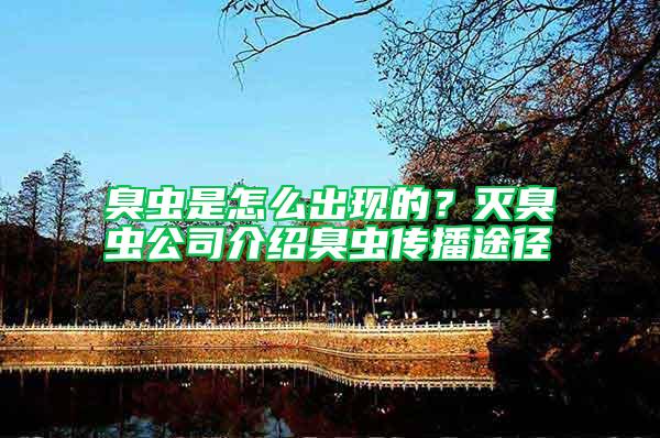 臭蟲是怎么出現(xiàn)的？滅臭蟲公司介紹臭蟲傳播途徑