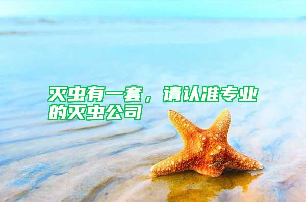 滅蟲有一套，請認準專業的滅蟲公司