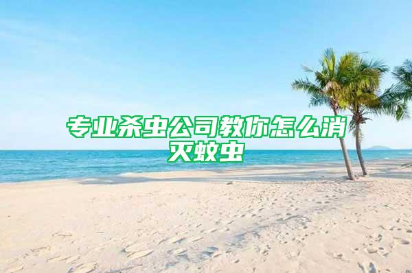 專業殺蟲公司教你怎么消滅蚊蟲