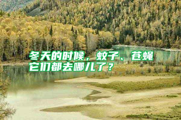 冬天的時(shí)候，蚊子、蒼蠅它們都去哪兒了？