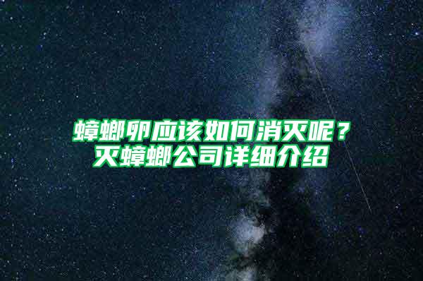 蟑螂卵應(yīng)該如何消滅呢？滅蟑螂公司詳細介紹