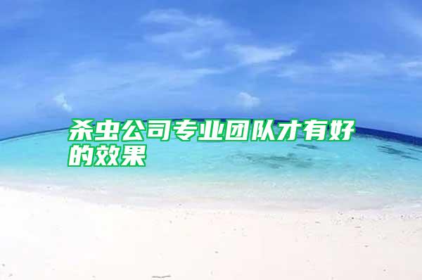 殺蟲公司專業(yè)團(tuán)隊(duì)才有好的效果