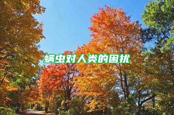 螨蟲對(duì)人類的困擾