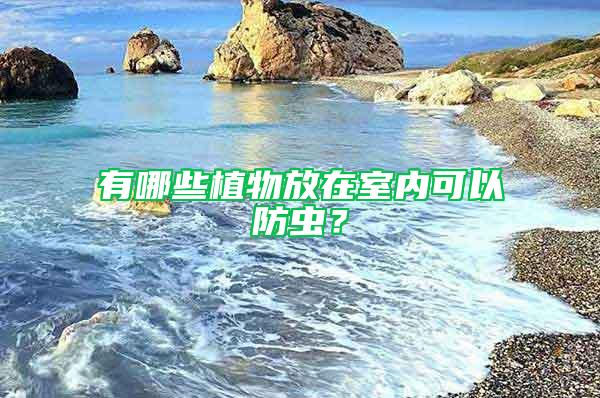 有哪些植物放在室內可以防蟲？