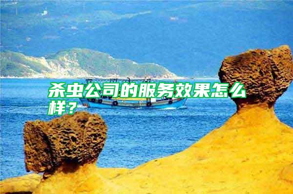 殺蟲公司的服務(wù)效果怎么樣？
